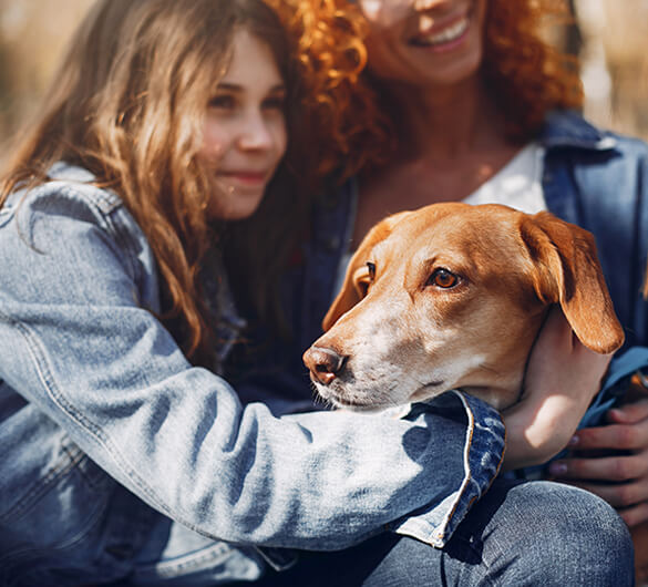 Adoptuj psa Schronisko Skawina Adoptuj psa Schronisko Skawina