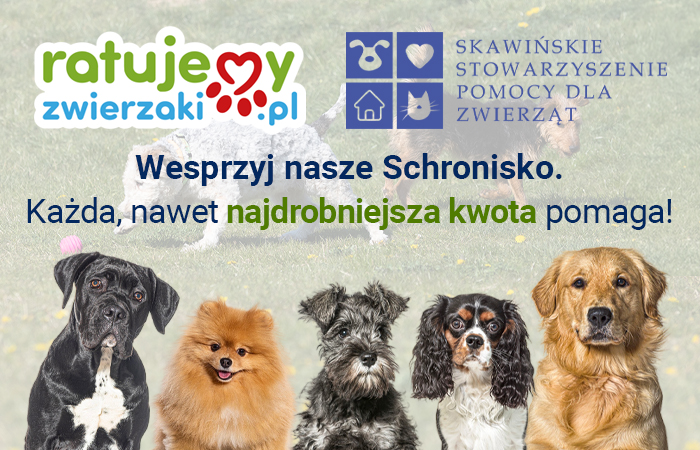 Darowizna na Schronisko Skawina