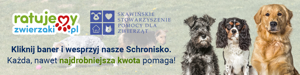 Schronisko Skawina wesprzyj nas Schronisko Skawina wesprzyj nas