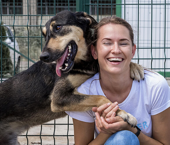 Wolontariat Schronisko Skawina adopcja Wolontariat Schronisko Skawina adopcja